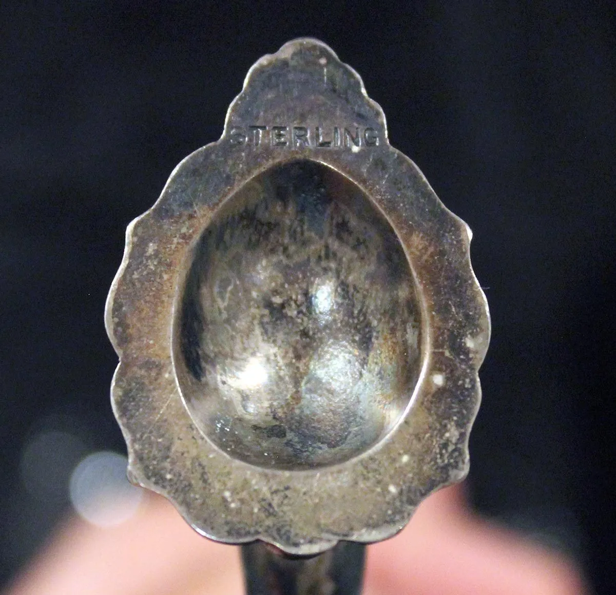 1899 DOMINICK & HAFF 13 1/2" STERLING & GLASS RIPPLED RIM SHELL FORM FEET VASE