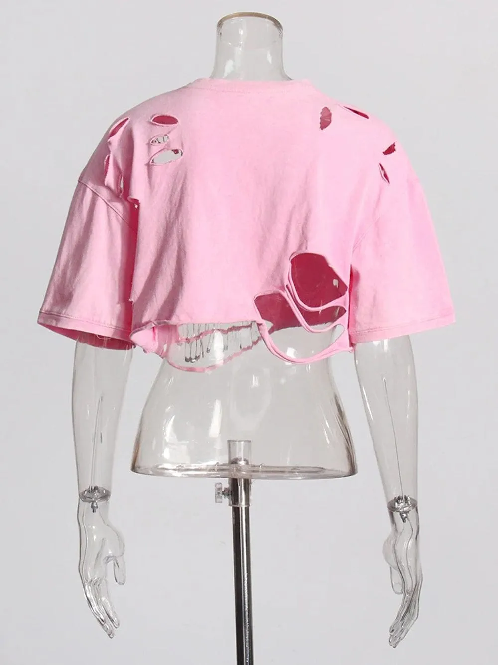 Dana Hollow Out Streetwear Crop Top