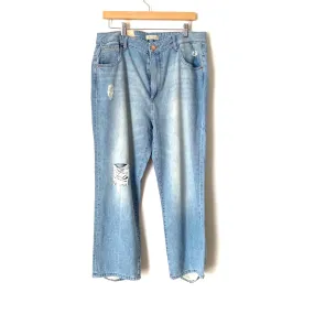 DL1961 Marianna Hewitt High Rise Vintage Straight Jerry Jeans NWT- Size 32 (Inseam 26")