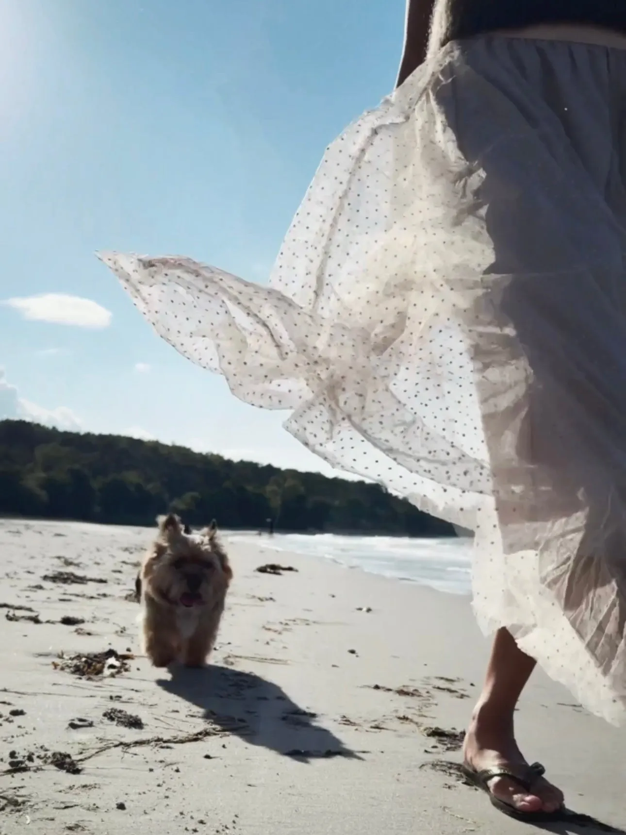 MIDI TULLE SKIRT - LIGHT ROSE/SAND