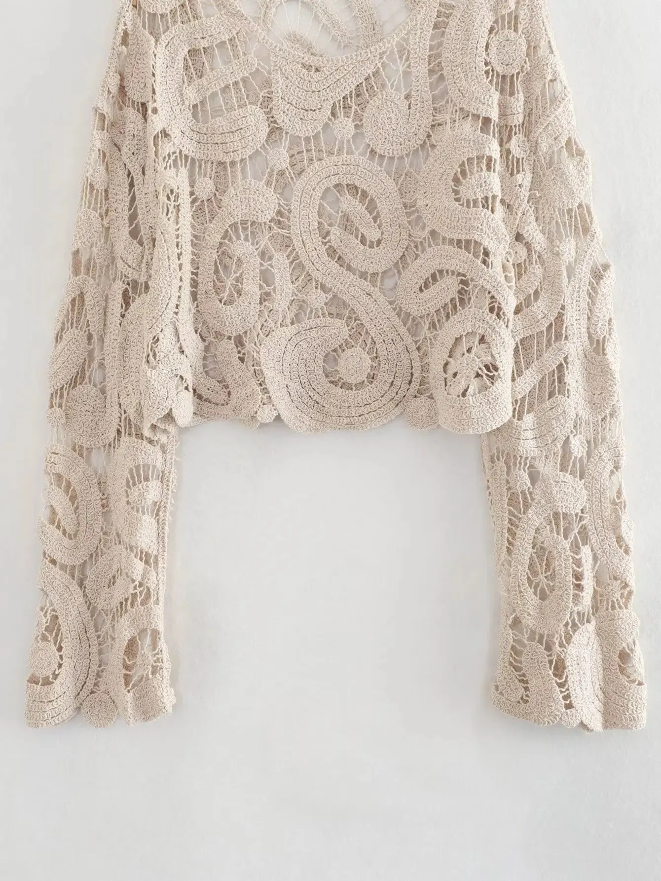 Pre Order:  Tatting Semi Sheer Cropped Top