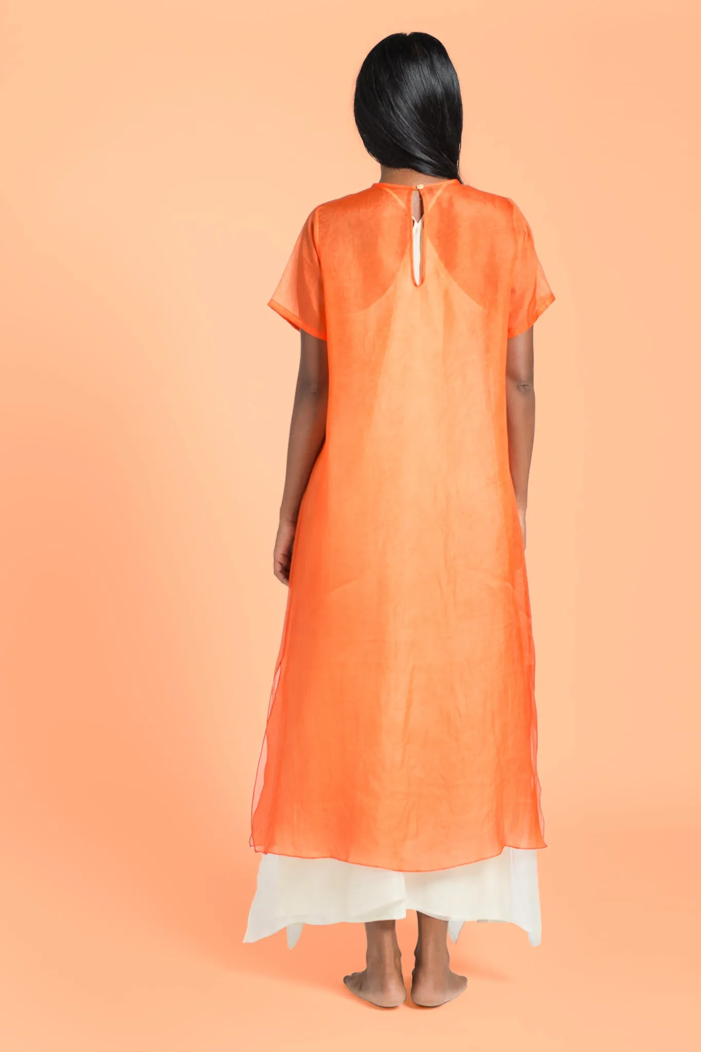 Silk Dress w/ Layered Slip