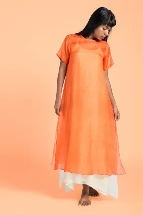 Silk Dress w/ Layered Slip