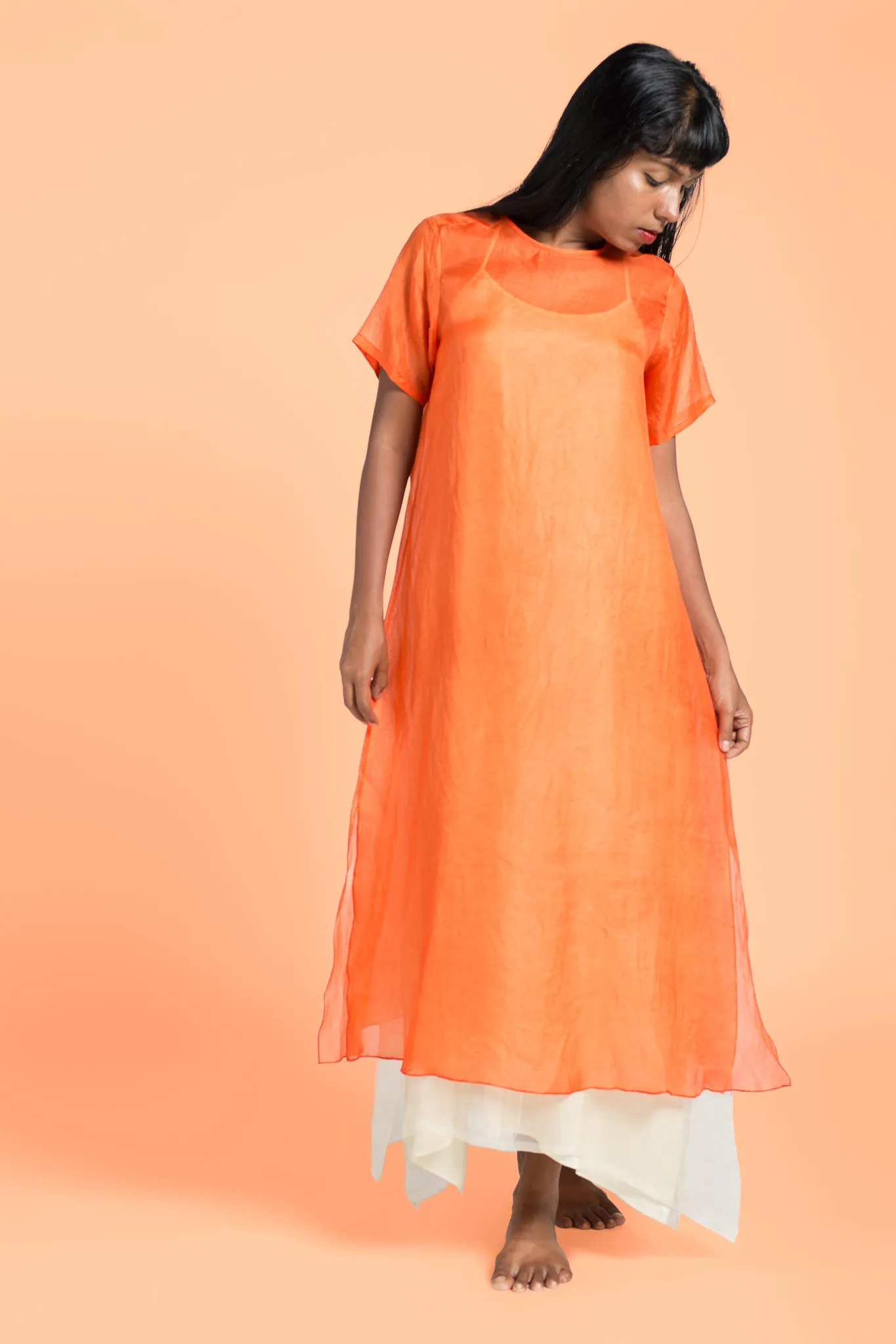 Silk Dress w/ Layered Slip