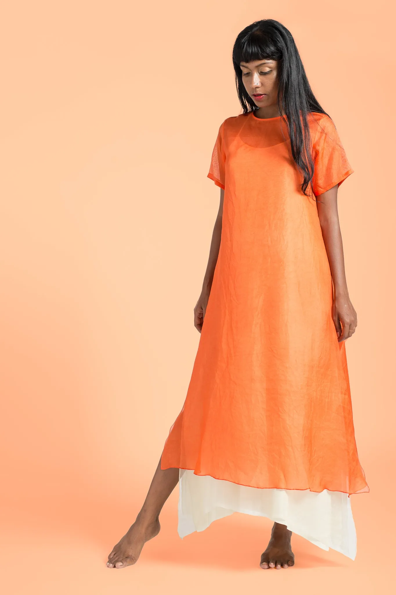 Silk Dress w/ Layered Slip